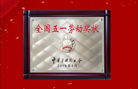 今晚必出二肖今年