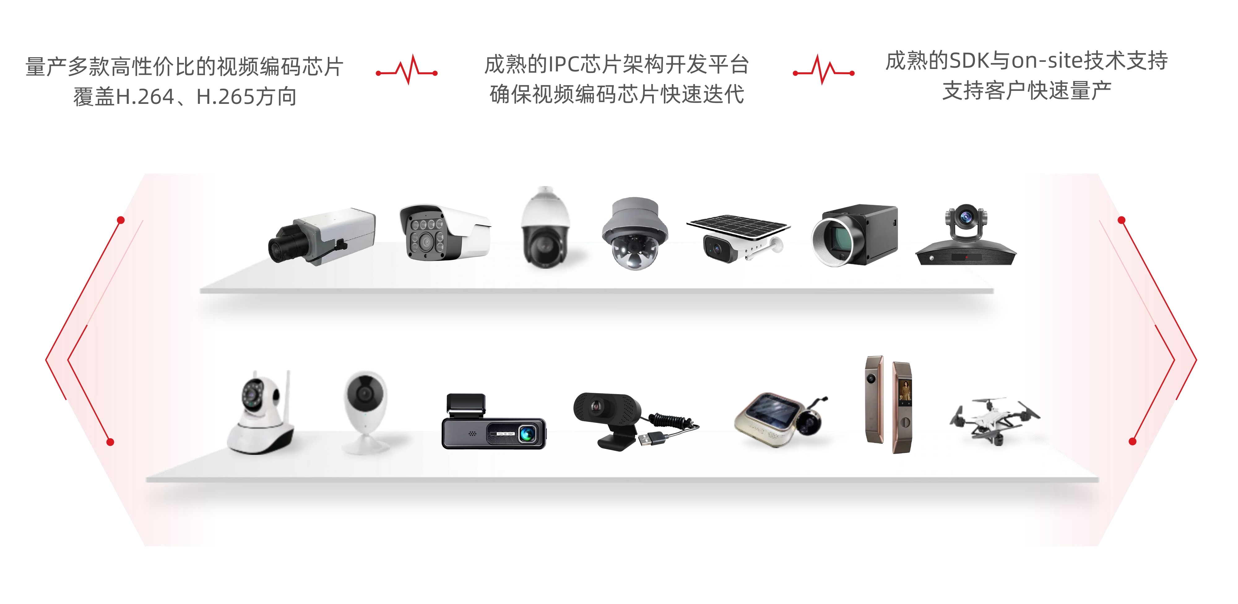 今晚必出二肖今年