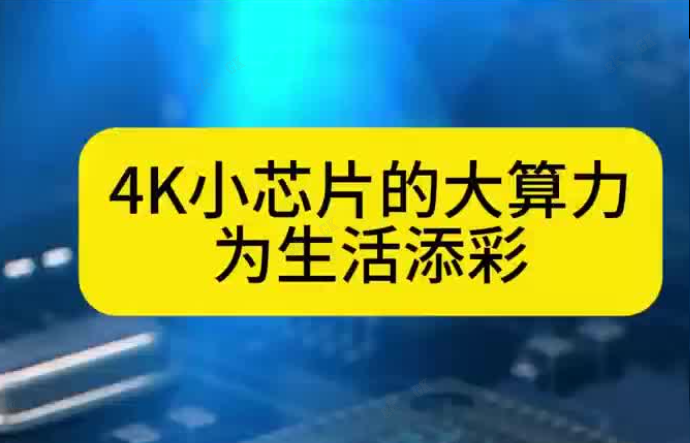 今晚必出二肖今年