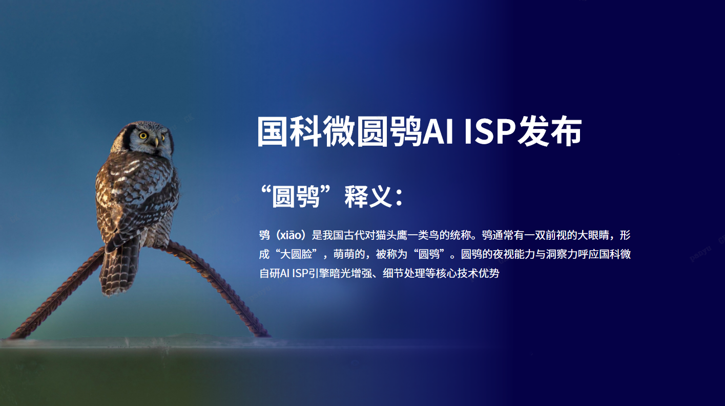 今晚必出二肖今年